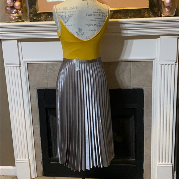 Brand NWTBanana Republic Pleated Skirt - Picture 2 of 2